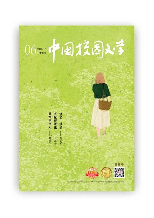 国王升空记